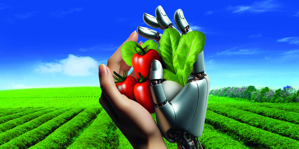 AgriFood Future 2024: innovazione e sostenibilità per il futuro del Made in Italy agroalimentare